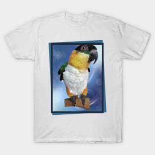 caique T-Shirt